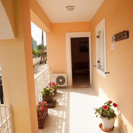 Stella ليكسوري